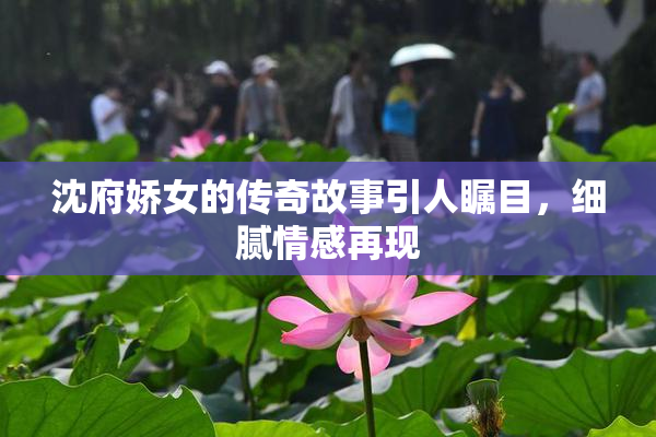 沈府娇女的传奇故事引人瞩目，细腻情感再现