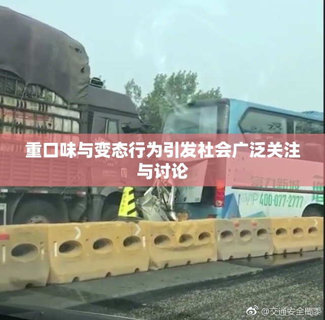 重口味与变态行为引发社会广泛关注与讨论