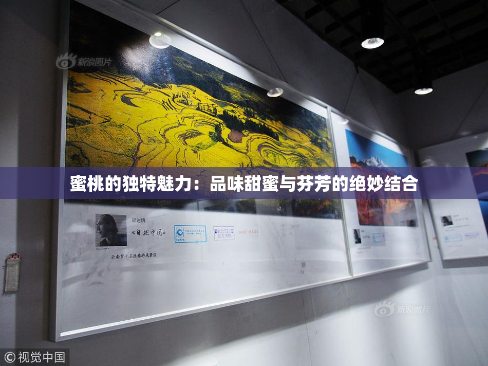 蜜桃的独特魅力：品味甜蜜与芬芳的绝妙结合
