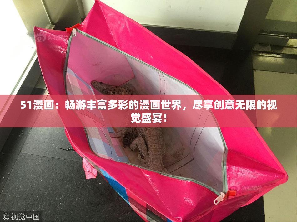 51漫画：畅游丰富多彩的漫画世界，尽享创意无限的视觉盛宴！