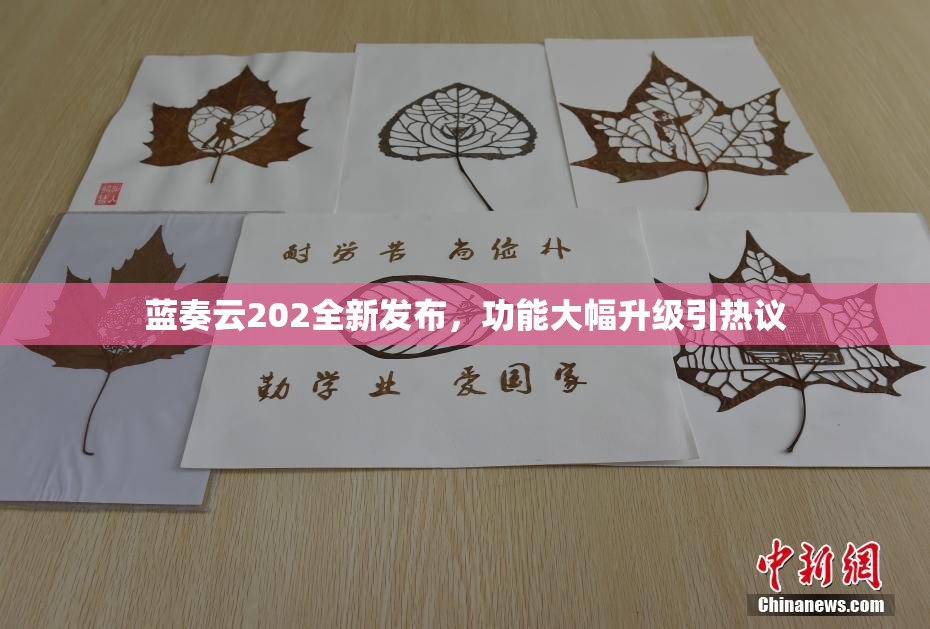 蓝奏云202全新发布，功能大幅升级引热议