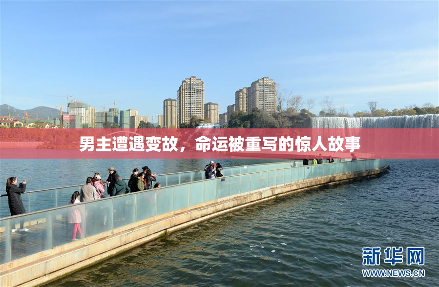 男主遭遇变故，命运被重写的惊人故事