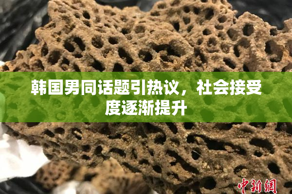 韩国男同话题引热议，社会接受度逐渐提升