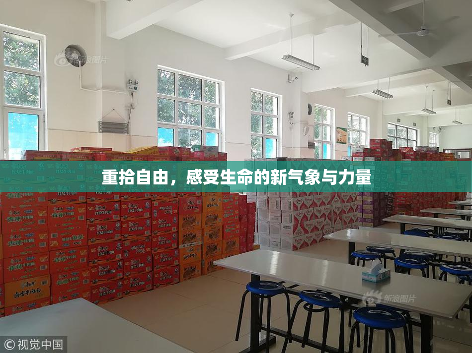 重拾自由，感受生命的新气象与力量
