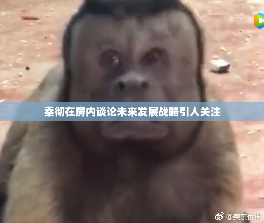 秦彻在房内谈论未来发展战略引人关注