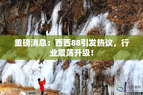 重磅消息：西西88引发热议，行业震荡升级！