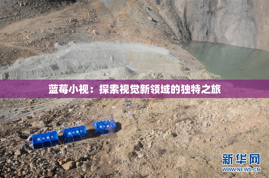 蓝莓小视：探索视觉新领域的独特之旅