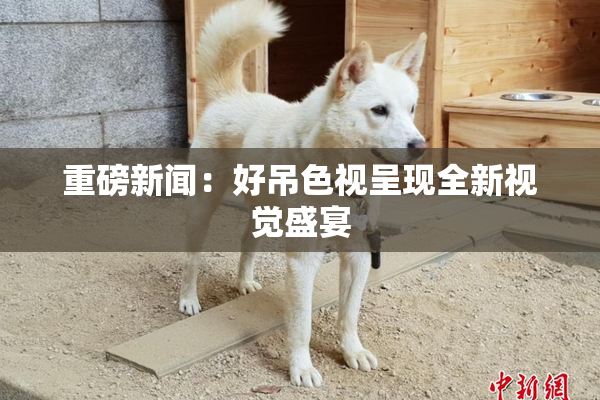 重磅新闻：好吊色视呈现全新视觉盛宴