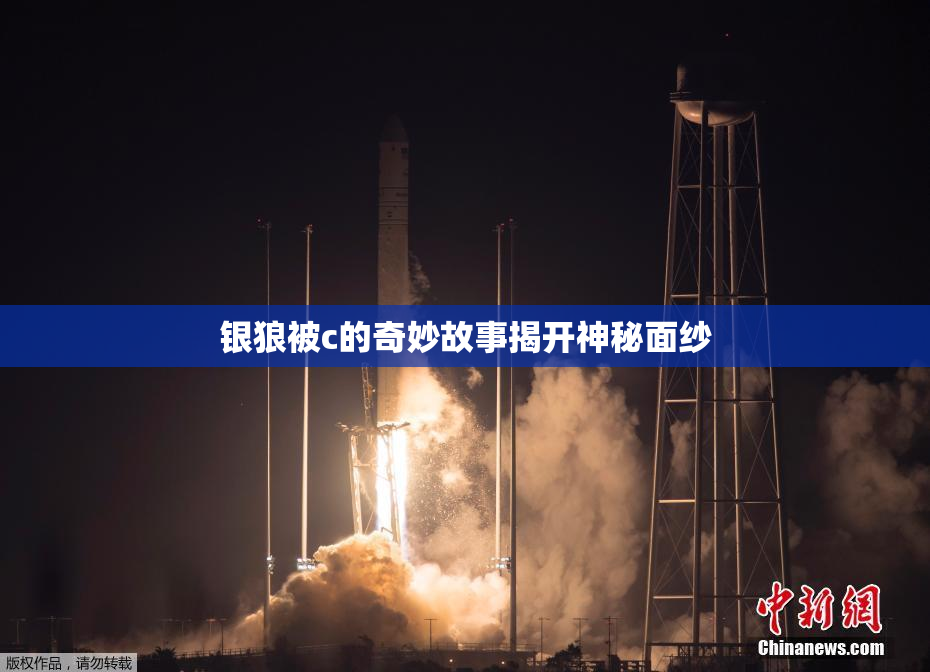 银狼被c的奇妙故事揭开神秘面纱