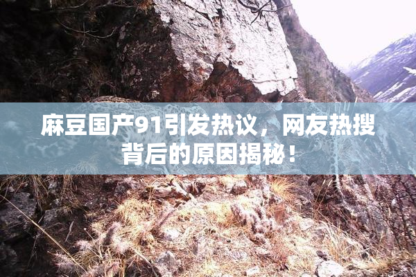 麻豆国产91引发热议，网友热搜背后的原因揭秘！