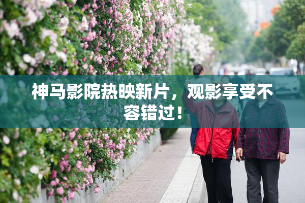 神马影院热映新片，观影享受不容错过！