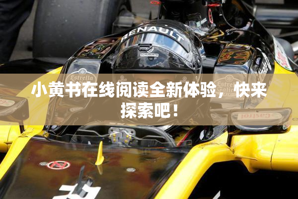 小黄书在线阅读全新体验，快来探索吧！