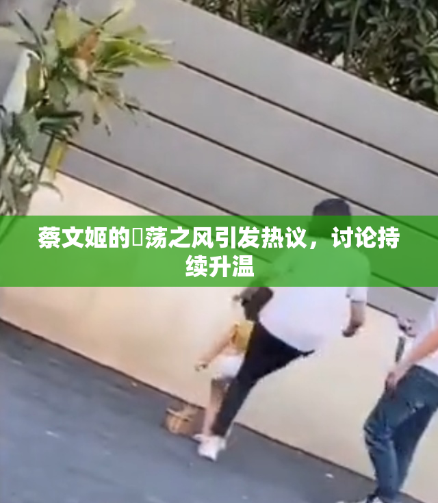 蔡文姬的婬荡之风引发热议，讨论持续升温