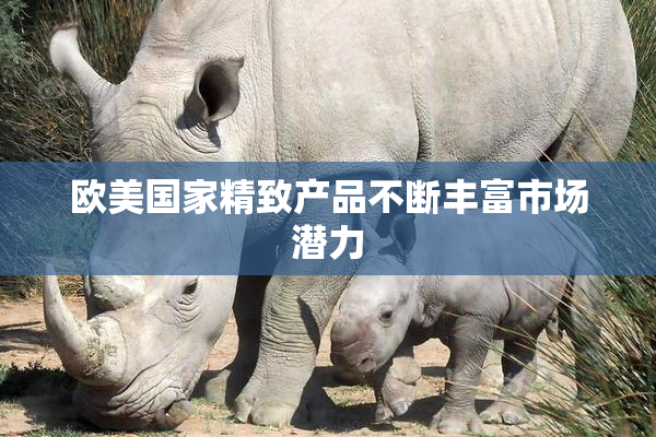 欧美国家精致产品不断丰富市场潜力