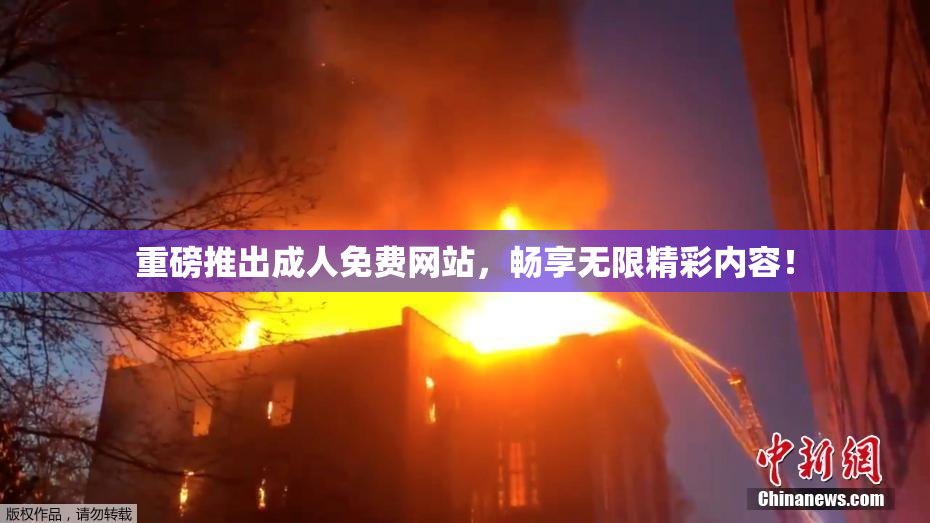 重磅推出成人免费网站，畅享无限精彩内容！