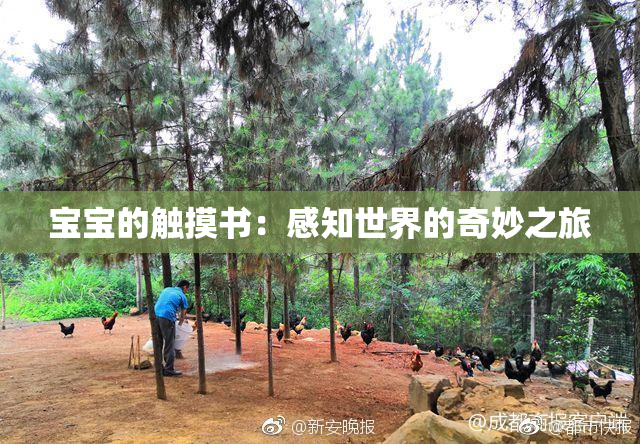宝宝的触摸书：感知世界的奇妙之旅