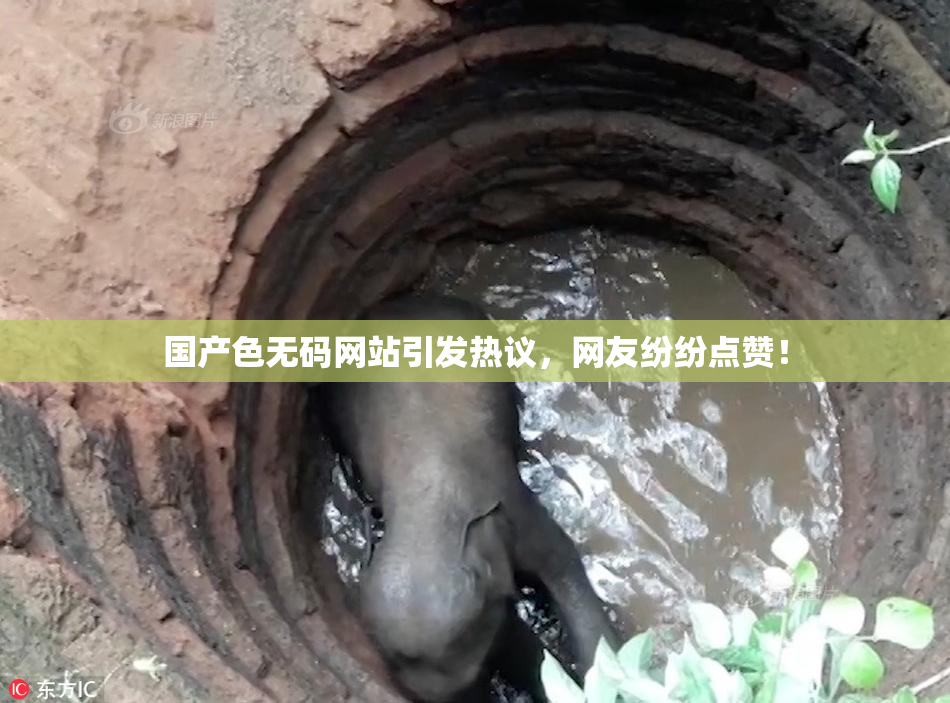 国产色无码网站引发热议，网友纷纷点赞！