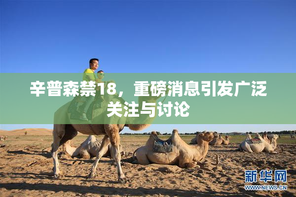 辛普森禁18，重磅消息引发广泛关注与讨论