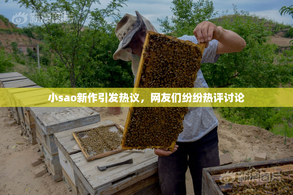 小sao新作引发热议，网友们纷纷热评讨论