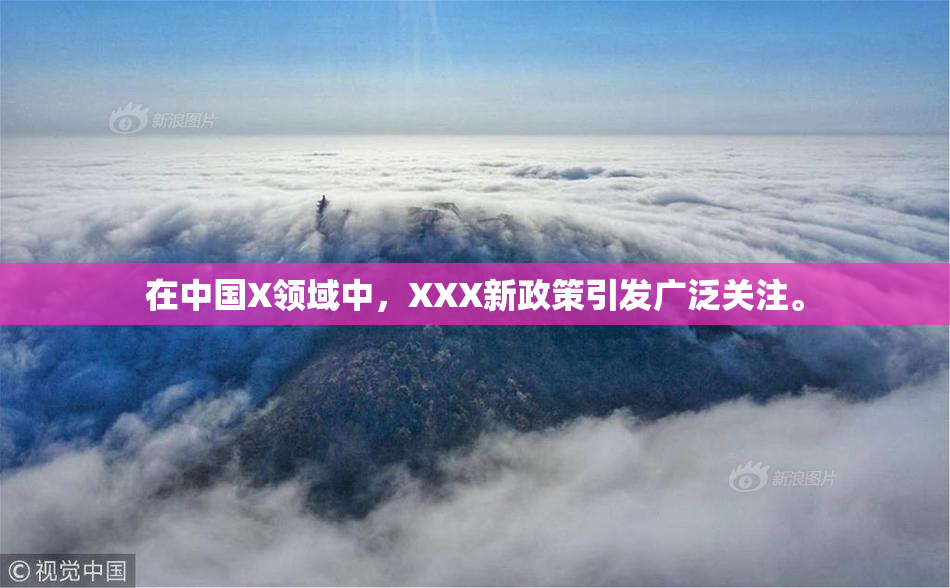 在中国X领域中，XXX新政策引发广泛关注。