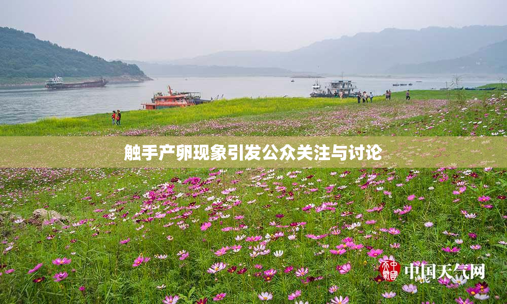 触手产卵现象引发公众关注与讨论