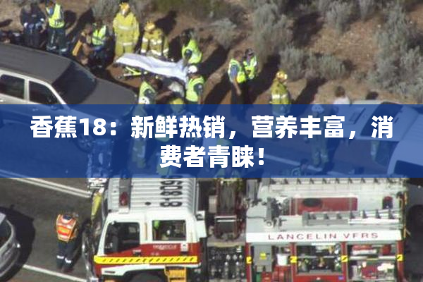 香蕉18：新鲜热销，营养丰富，消费者青睐！