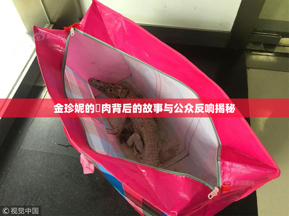 金珍妮的婬肉背后的故事与公众反响揭秘