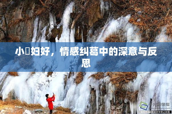 小婬妇好，情感纠葛中的深意与反思