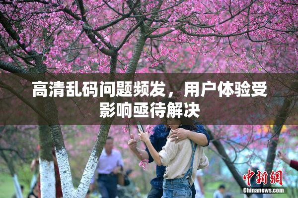 高清乱码问题频发，用户体验受影响亟待解决