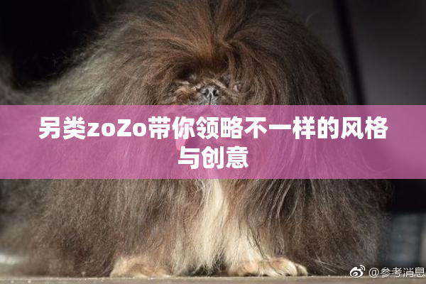 另类zoZo带你领略不一样的风格与创意