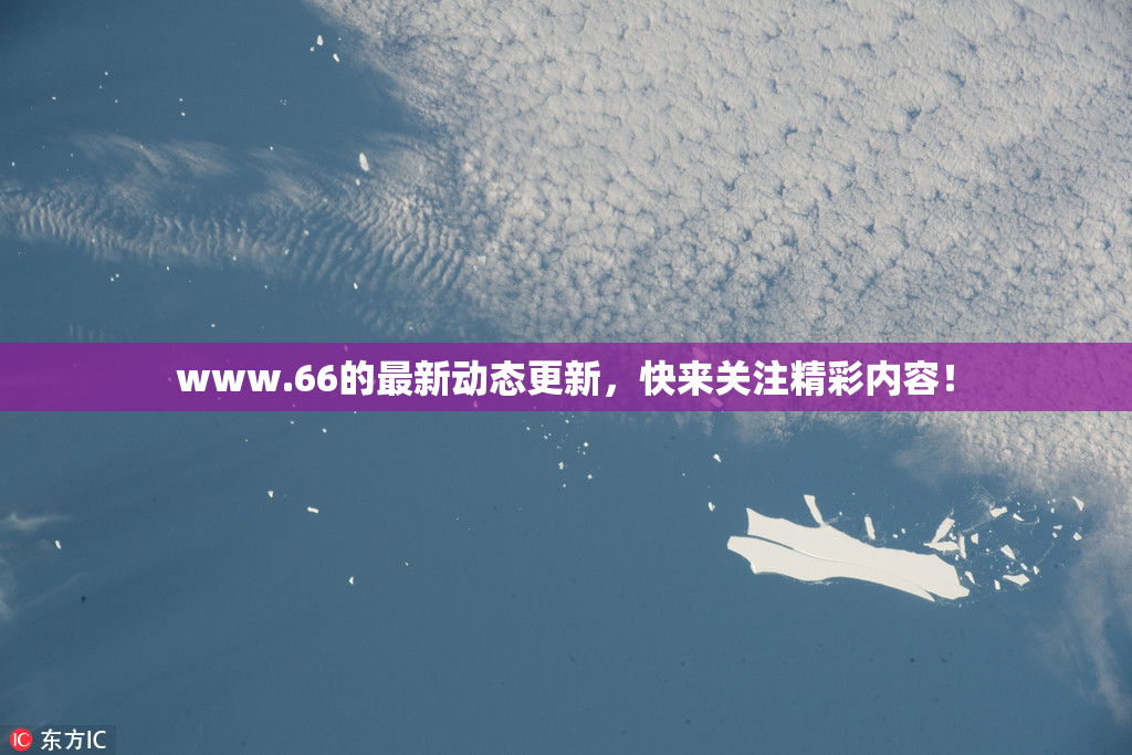 www.66的最新动态更新，快来关注精彩内容！