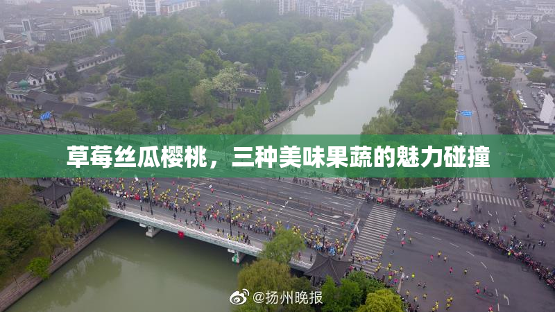 草莓丝瓜樱桃，三种美味果蔬的魅力碰撞