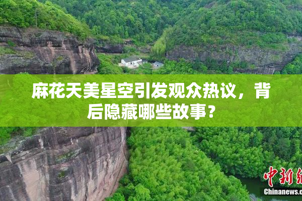 麻花天美星空引发观众热议，背后隐藏哪些故事？
