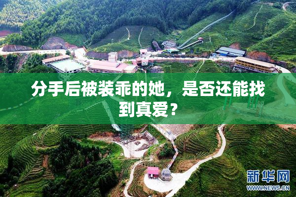 分手后被装乖的她，是否还能找到真爱？