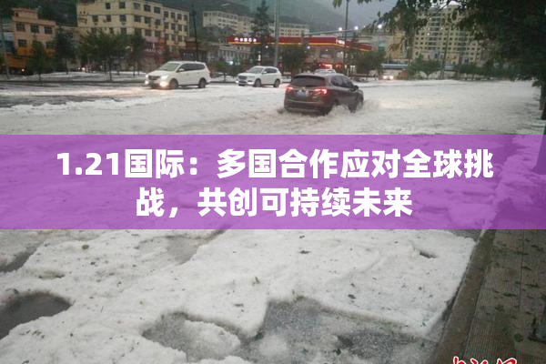 1.21国际：多国合作应对全球挑战，共创可持续未来