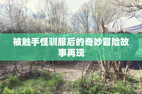 被触手怪驯服后的奇妙冒险故事再现