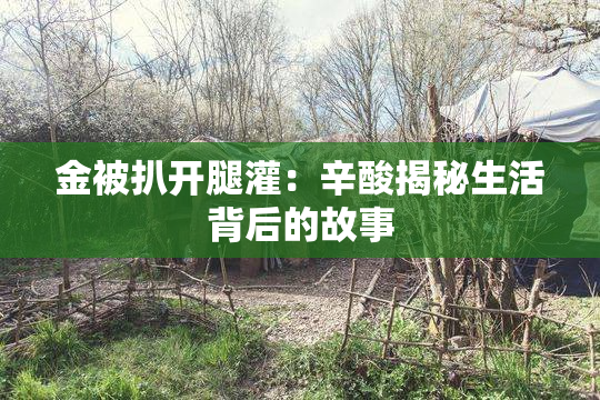 金被扒开腿灌：辛酸揭秘生活背后的故事