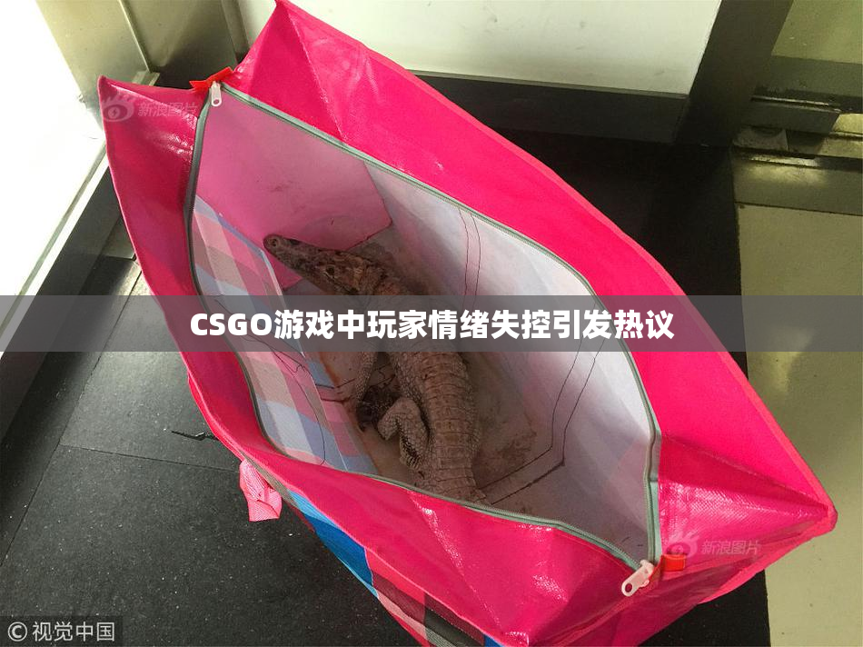 CSGO游戏中玩家情绪失控引发热议