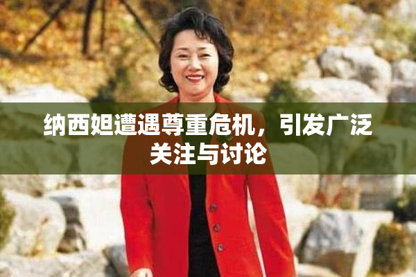 纳西妲遭遇尊重危机，引发广泛关注与讨论
