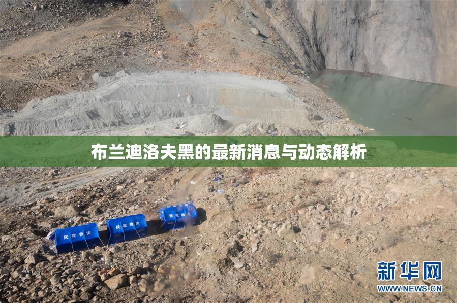 布兰迪洛夫黑的最新消息与动态解析