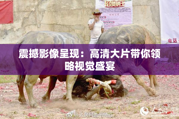 震撼影像呈现：高清大片带你领略视觉盛宴