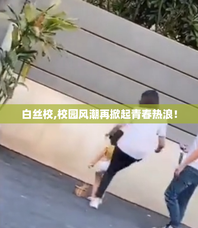 白丝校,校园风潮再掀起青春热浪！