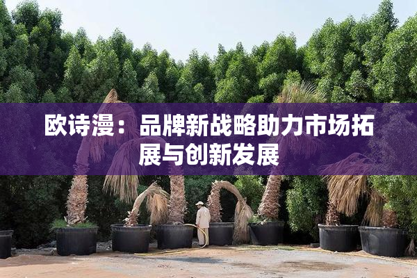 欧诗漫：品牌新战略助力市场拓展与创新发展