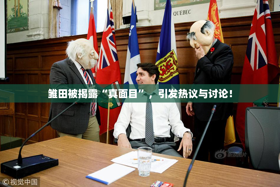 雏田被揭露“真面目”，引发热议与讨论！