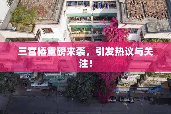 三宫椿重磅来袭，引发热议与关注！