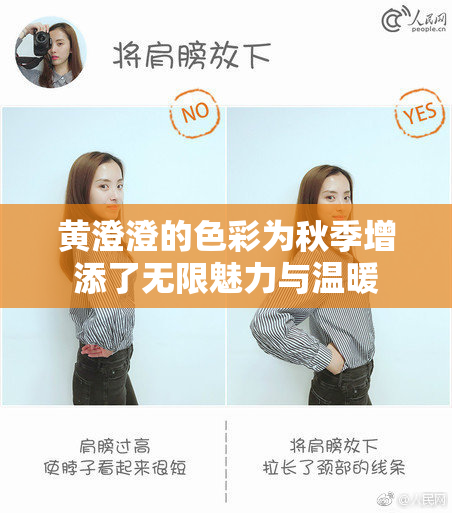 黄澄澄的色彩为秋季增添了无限魅力与温暖