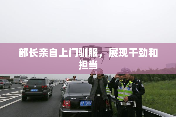 部长亲自上门驯服，展现干劲和担当