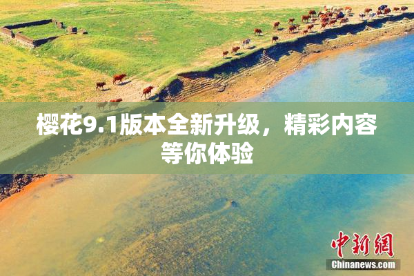 樱花9.1版本全新升级，精彩内容等你体验