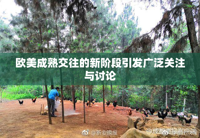 欧美成熟交往的新阶段引发广泛关注与讨论