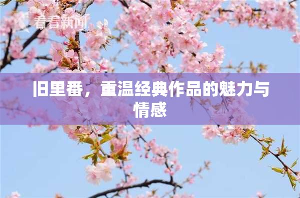 旧里番，重温经典作品的魅力与情感